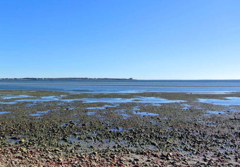 Demarest Lloyd State Park, Massachusetts, USA